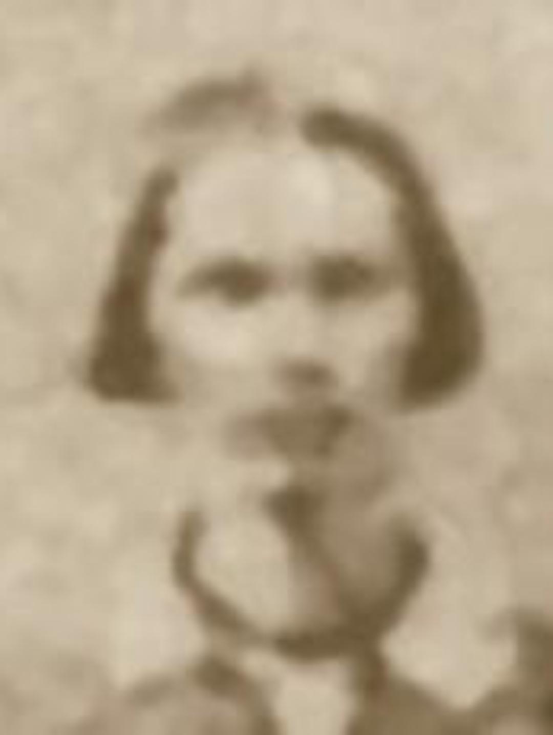 Jensine Christine Sorensen (1832 - 1870) Profile